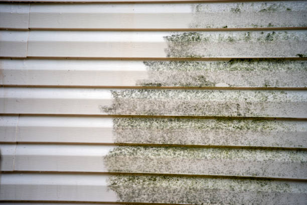 Affordable siding repair and maintenance services in Uniontown, AL
